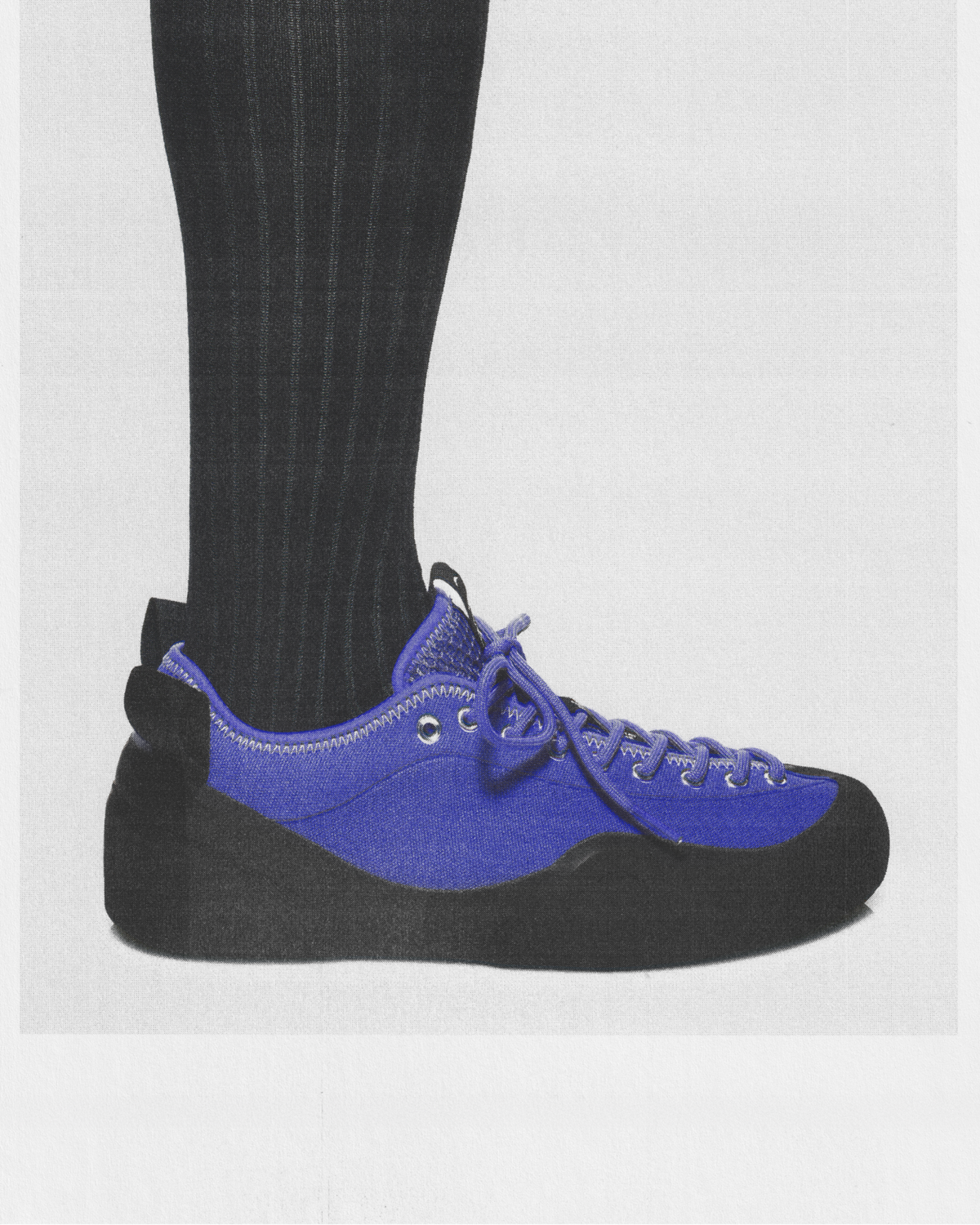 Village 1PM skate shoe in Purple