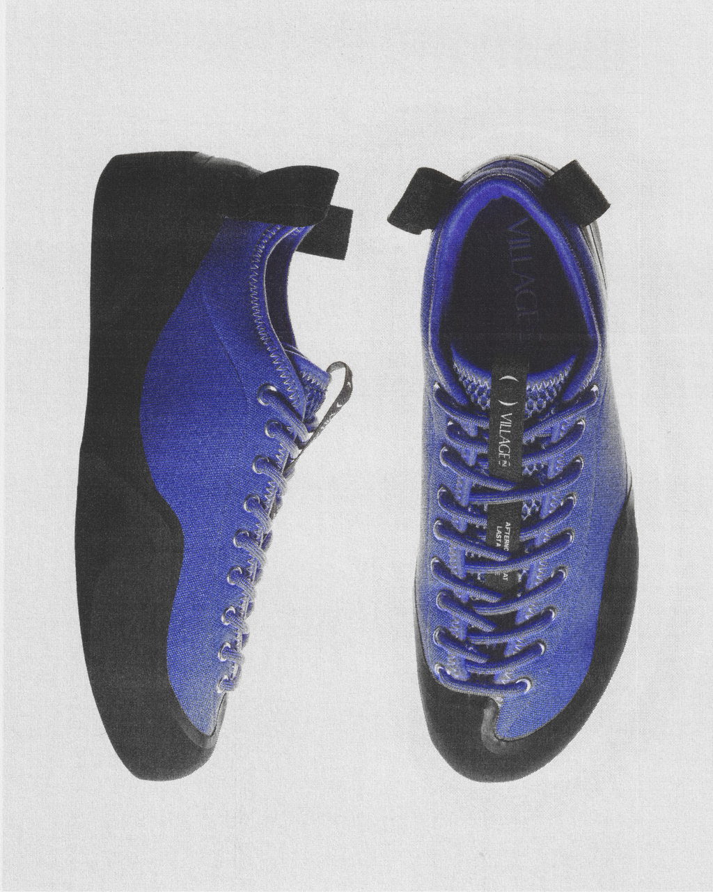 Village 1PM skate shoe in Purple