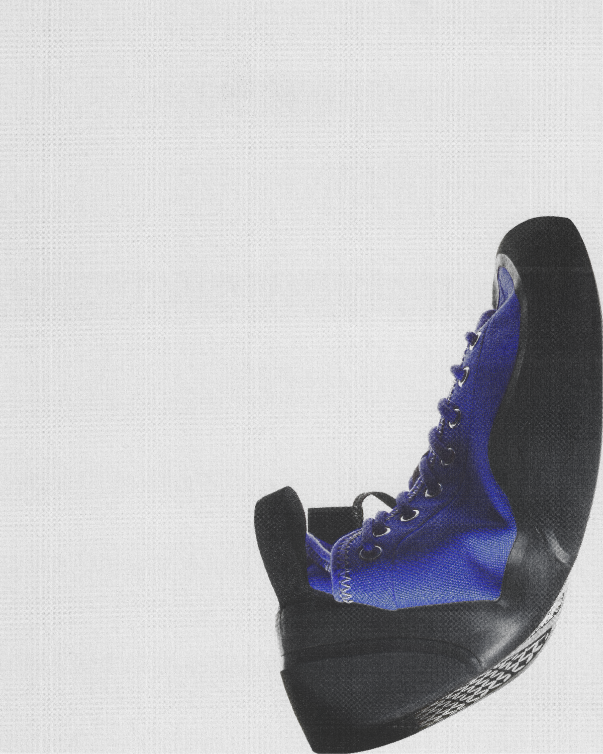Village 1PM skate shoe in Purple